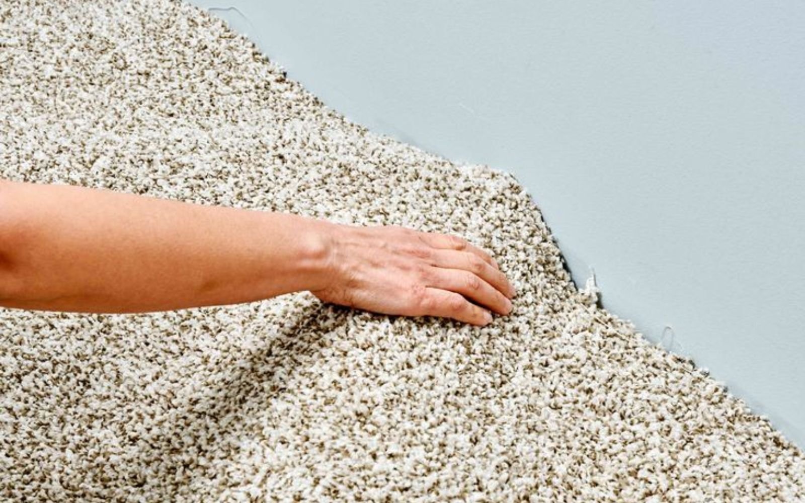 Carpet Wrinkles and Bunching: Causes, Consequences, and Professional Fixes